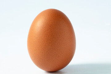 Single egg on white background