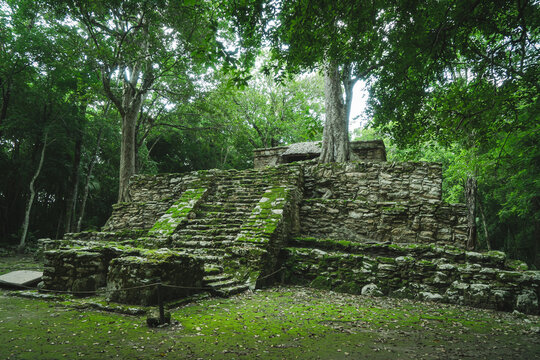 Mayan Ruin &rdquo;Muyil&rdquo;, Quintana Roo, Mexico