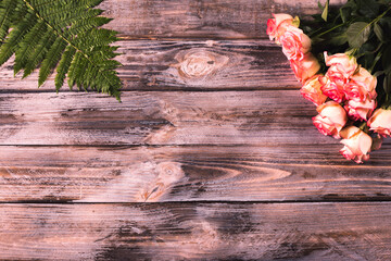 pink roses on the wooden background