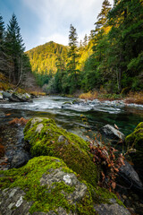 Vibrant colorful Elk River in Oregon with trees and mossy rocks