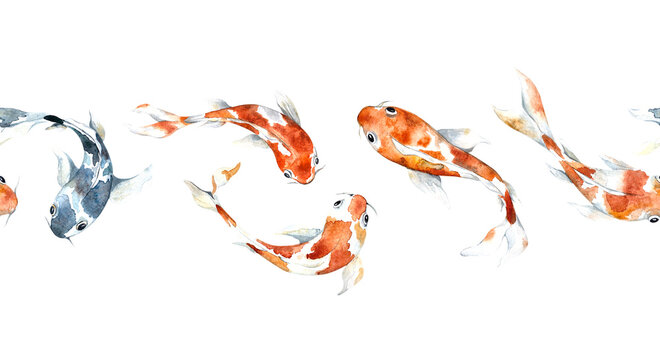 Watercolor border with koi carp. Border on a white background. Watercolor orange and blue fish for fabrics, banners, prints, postcards, gifts.