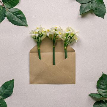 The flowers in the letter