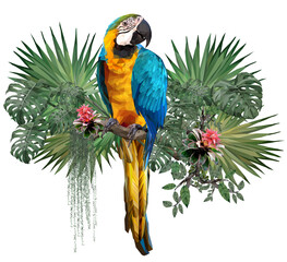 Vector polygonal of Blue and gold macaw bird. © NPD stock