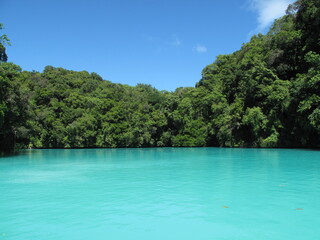 turquoise water with green trees on the island