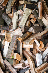 Pile of fire wood