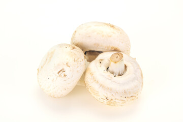 Raw Champignon heap for cooking