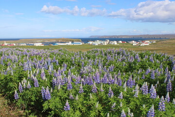 Raufarhofn, a small fishing village in the very North of Iceland