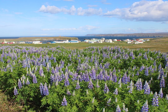 Raufarhofn, a small fishing village in the very North of Iceland