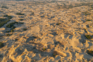 Desert sunset. Beautiful desert with warm colors. Top view Аleshkovskaya desert in Ukraine