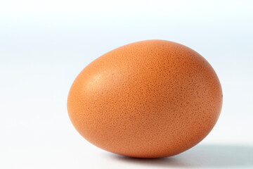Single egg on white background