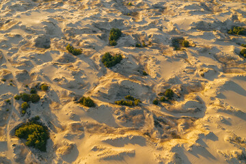 Desert sunset. Beautiful desert with warm colors. Top view Аleshkovskaya desert in Ukraine