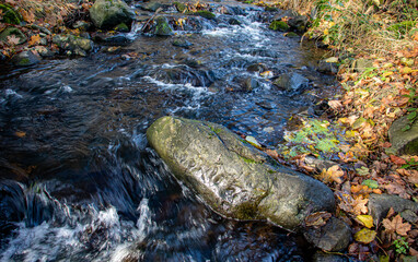 A water cascade with boulders in autumn creek with fallen leaves on a rocky shore. Water flows around the stones in the river.