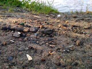 grass and soil
