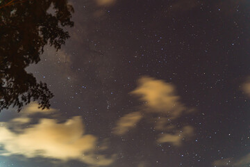 Fototapeta na wymiar Blue dark night sky with many stars trees.Phuket Thailand. Milkyway cosmos background.