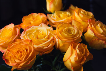 Bouquet of beautiful yellow roses close up on dark background.