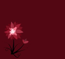 Isolated abstract background, red color , flower