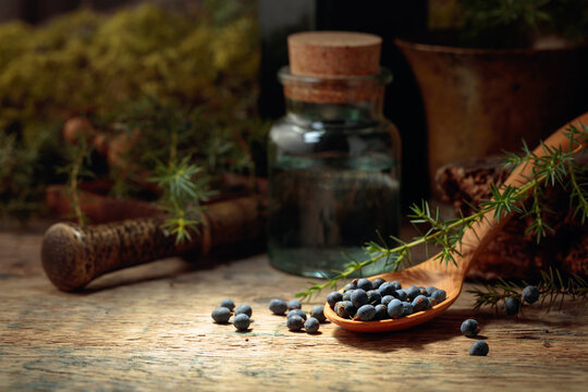 Juniper tincture and juniper berries on an old wooden table.