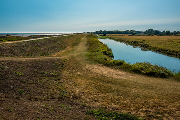 Fototapeta premium A view along the levy on the East Mersea flats, UK in the summertime