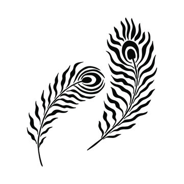 Free Black And White Peacock Feather Download Free Black And White Peacock  Feather png images Free ClipArts on Clipart Library