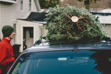 Man removing Christmas tree from roof rack of car