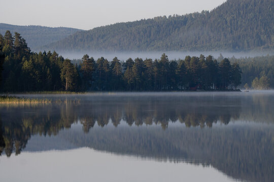 Pine trees on forest hills with a layer of fog and cloudy sky, reflection of the view on the lake. A beautiful nature landscape background in sweden. © Niklas NW