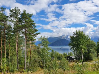 trees against the sky, mountains and water - Eidfjord