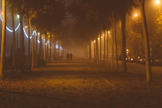 Urban and night photography of a mysterious foggy street.