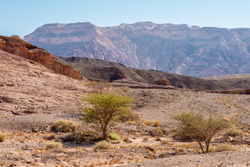 Picturesque landscape in Timna National Park in the Arava Valley near Eilat. Israel.