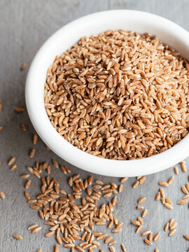 Emmer wheat