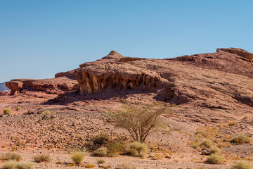 Fototapeta premium Picturesque landscape in Timna National Park in the Arava Valley near Eilat. Israel.