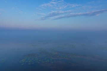 Fototapeta premium Seerosen im Federsee