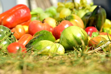 Close-up shot of the gifts of autumn. The vegetables and fruits collected by the farmer lie on the ground.