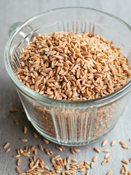Emmer wheat