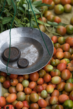 Tomato stall at street market in Myanmar