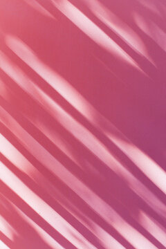 Blinds Shade on Pink Wall