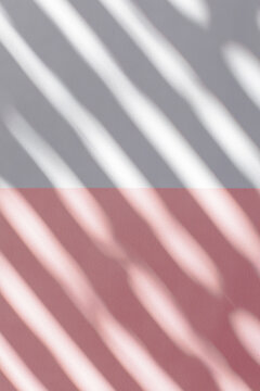 Blinds Shade on Pink Wall