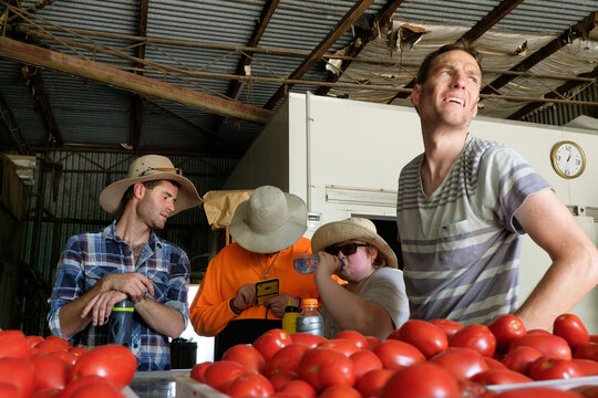 Farm Workers on a Break in a Shed