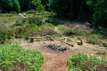 campfire in woods