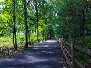 Walking towards the Farmington River Trail
