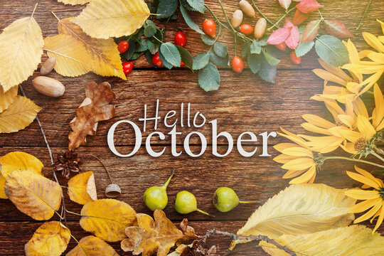 Hello october frame of autumn decor Poster card with sunlight filter and toned grunge image
