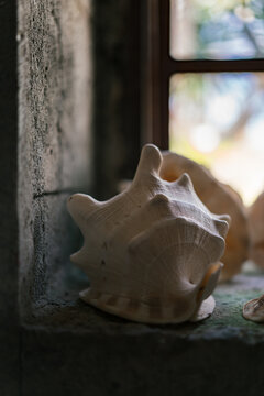 conch shell beside window,El Nido, Philippines