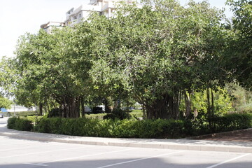 Naklejka premium Parque urbano