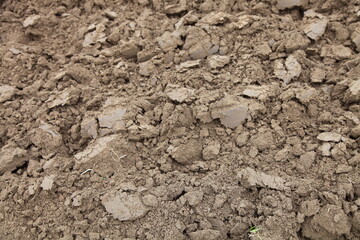 Brown ploughed dry field ground close up fragment — land cultivation, rural background