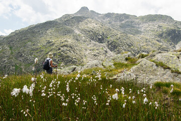 Woman hiking alone through the meadow in Dolomities, Italy.