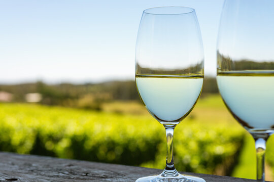 wine glasses on a railing by a vineyard, with sky reflected