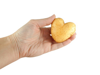 Hand holding natural organic heart shaped potato isolated on white background