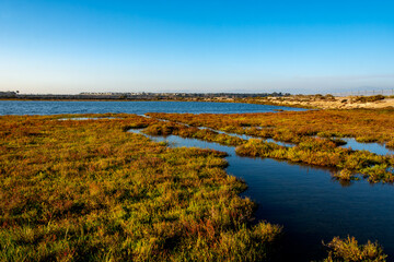 Coastal wetlands, known as the Inner Bolsa Bay, taken from the footbridge at the Bolsa Chica Ecological Reserve, a bird sanctuary, on the first day of fall.