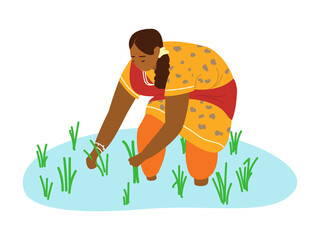 Indian woman farmer working on rice field. Hand drawn vector illustration. Authentic traditional agriculture.