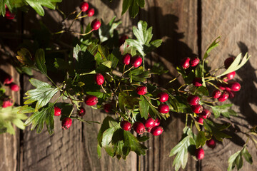 Ripe hawthorn berries, hawthorn branches on wooden background. Useful medicinal plants