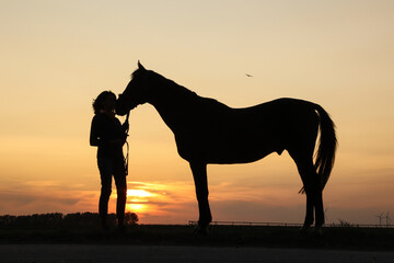 Pferdesilhouette im Sonnenuntergang
